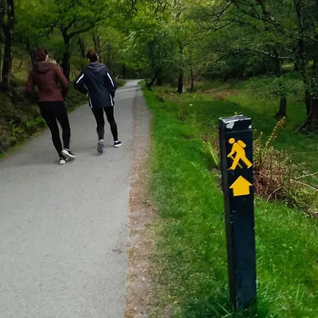 Way 4* Wicklow