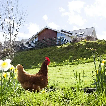 Bed & Breakfast Way Wicklow
