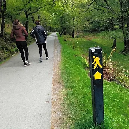 Way Отель типа 