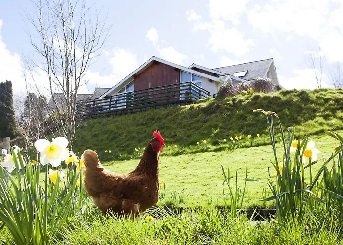 לינה וארוחת בוקר Way וויקלו